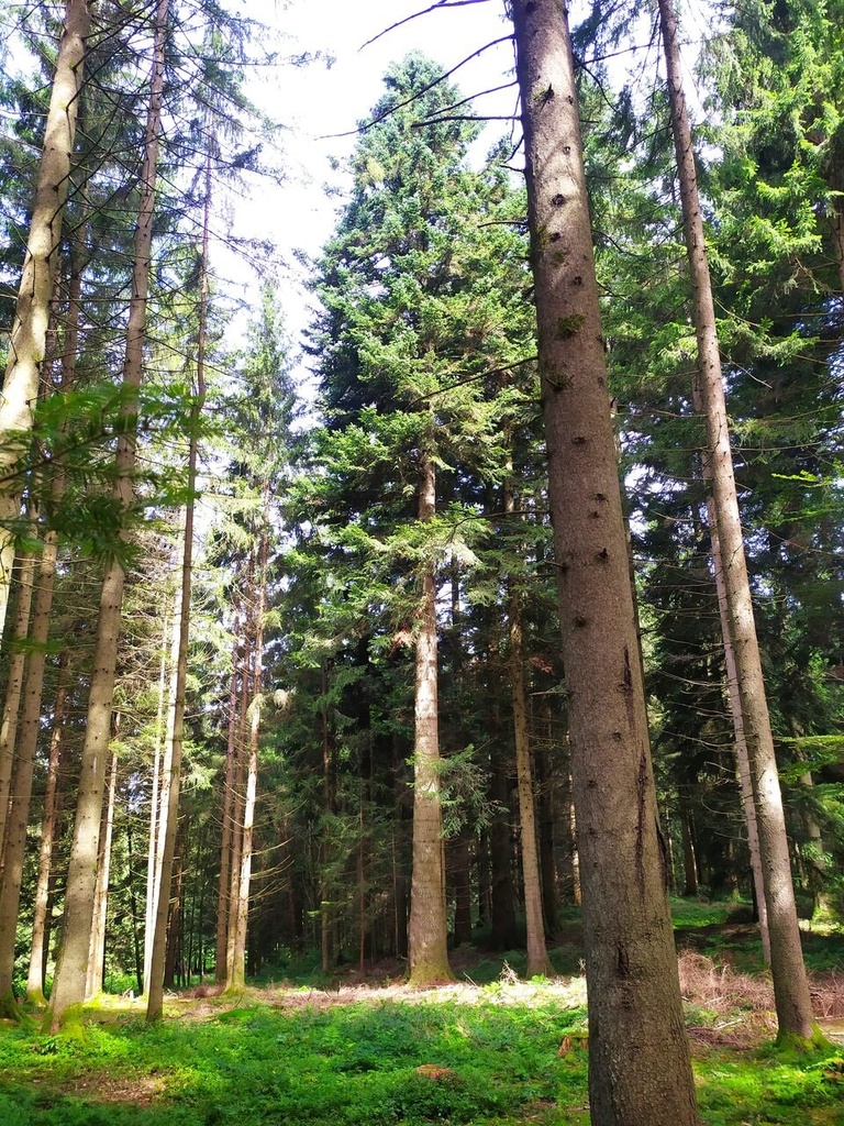 der-Unendliche-6_Easy-Resize.com_.jpg