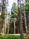 der-Unendliche-6_Easy-Resize.com_.jpg