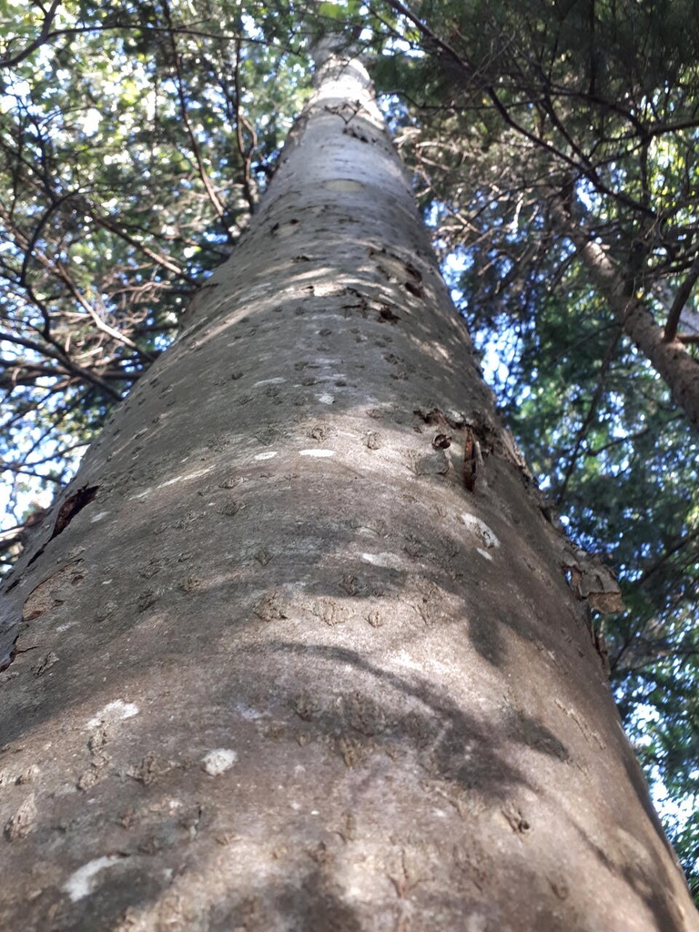 20190920_100614_Easy-Resize.com_.jpg