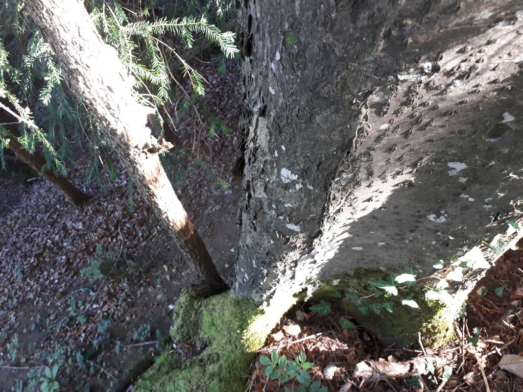 20190920_100712_Easy-Resize.com_.jpg