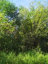 Hans-guck-in-die-luft-6_Easy-Resize.com_.jpg