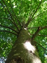 Haiku-6_Easy-Resize.com_.jpg
