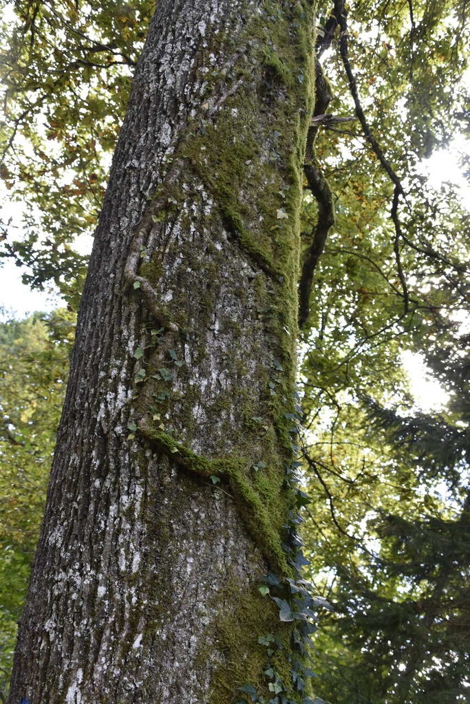 DSC9308_Easy-Resize.com_.jpg