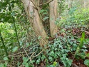 Parallelen_5_1500px.jpg