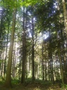 Chumett-6_Easy-Resize.com_.jpg