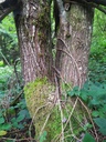 Verliebt-5_Easy-Resize.com_.jpg