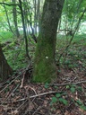 Picknick-3_Easy-Resize.com_.jpg