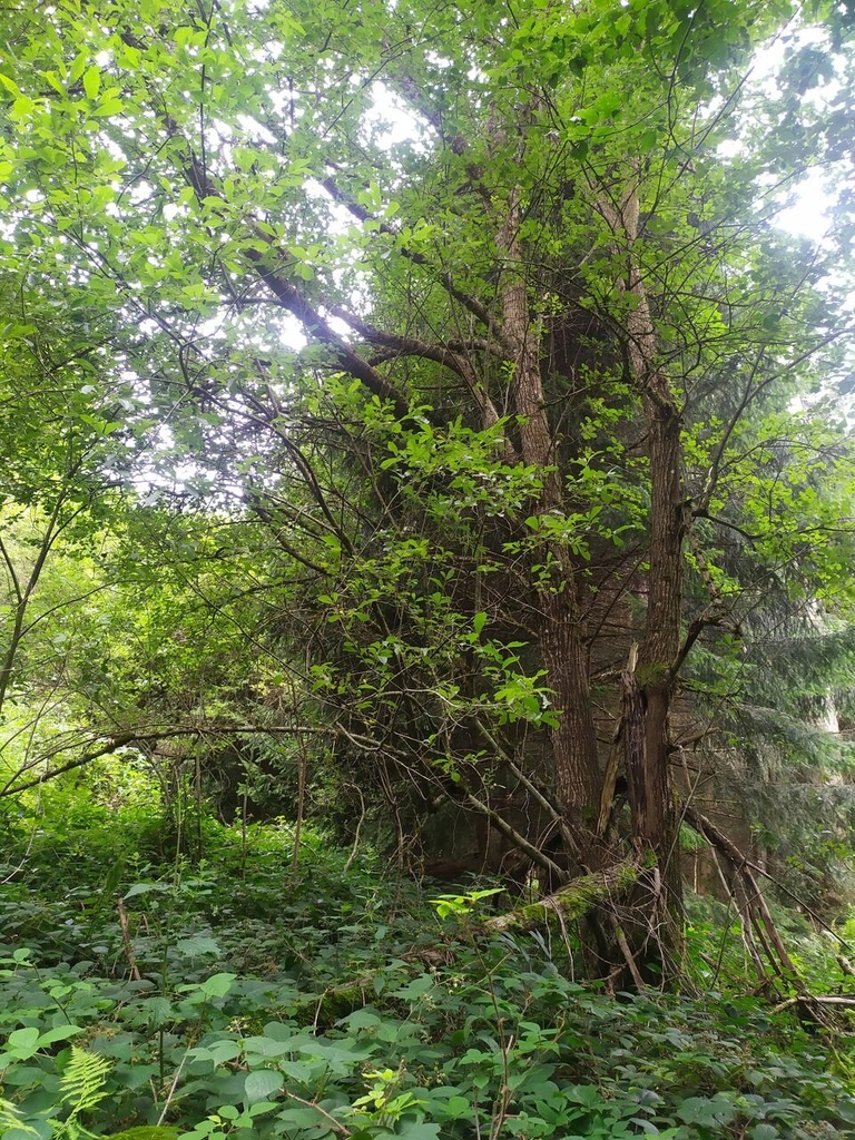 Verliebt-7_Easy-Resize.com_.jpg