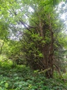 Verliebt-7_Easy-Resize.com_.jpg