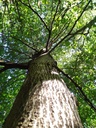 Picknick-6_Easy-Resize.com_.jpg