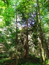 Wiegenlied-3_Easy-Resize.com_.jpg