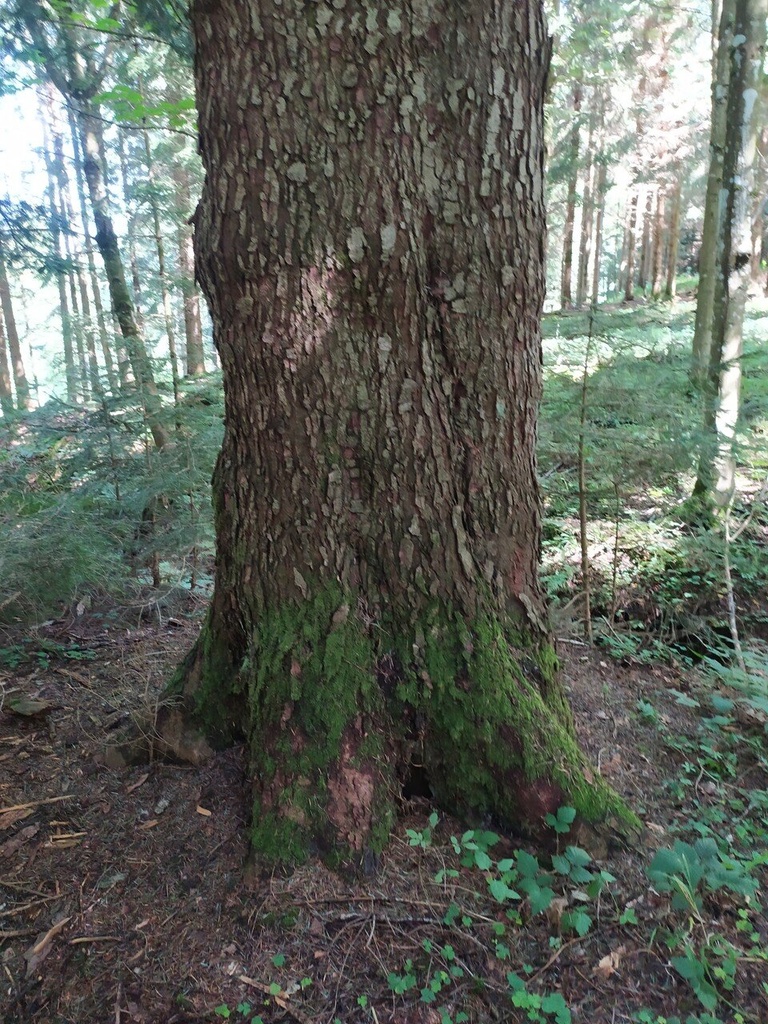 Wiegenlied-7_Easy-Resize.com_.jpg