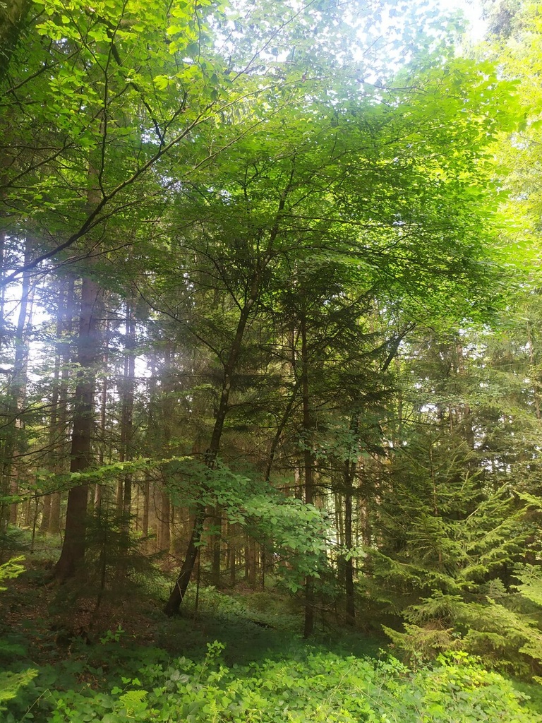 Quereinsteiger-5_Easy-Resize.com_.jpg