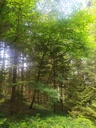 Quereinsteiger-5_Easy-Resize.com_.jpg