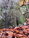 20251029_151230_Easy-Resize.com_.jpg