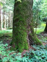 Traumfaenger-3_Easy-Resize.com_.jpg