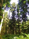 Traumfaenger-5_Easy-Resize.com_.jpg