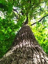Guardian-3_Easy-Resize.com_.jpg