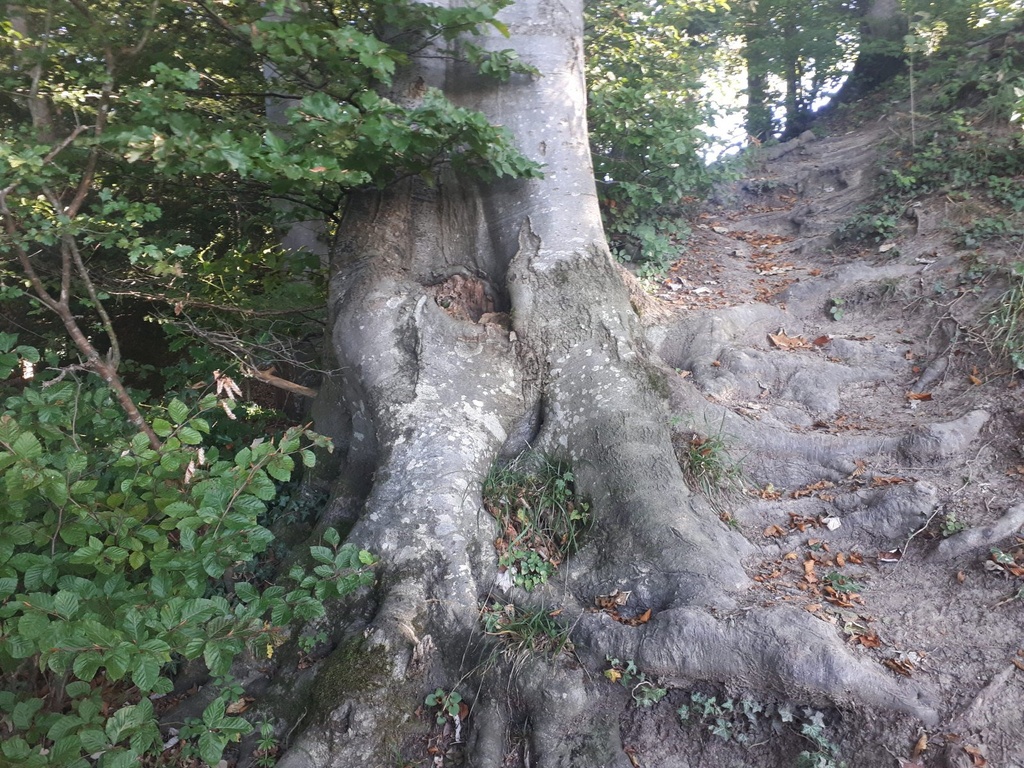 Kritzelbuche